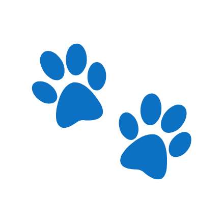 Paws, Love and Wheel Chairs
